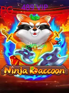 NinjaRaccoon